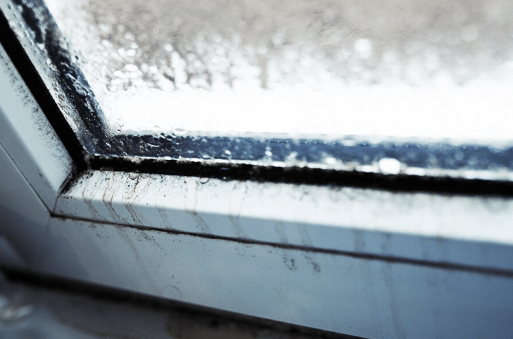Discover And Fix Leaking Windows In San Diego