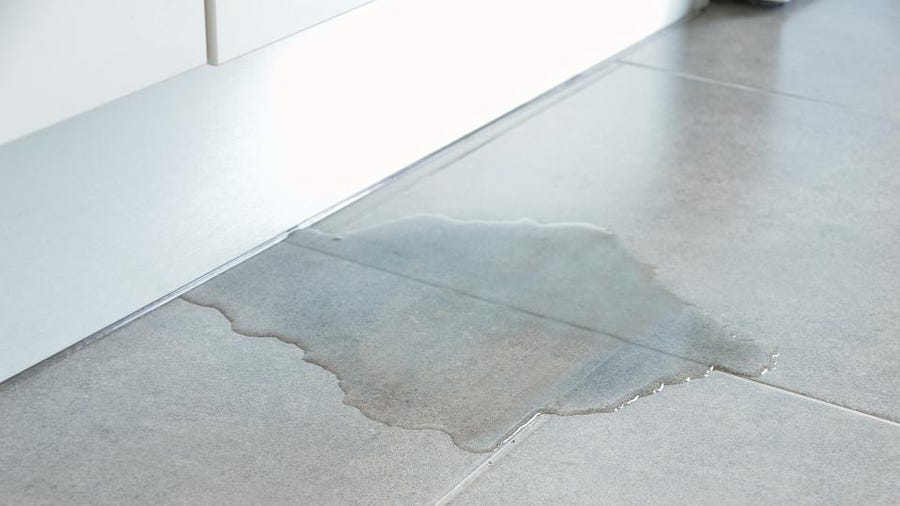 5 Ways We Can Take A Look And Fix Your Leak Fast In San Diego!