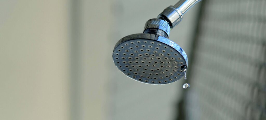 3 Of The Many Threats Posed By Water Leaks In The Home In San Diego